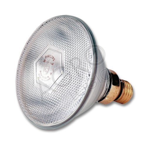 LAMP SPAAR  175 W WIT PHILIPS (*)