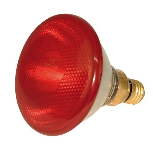 LAMP ECONOM 100W ROUGE BUDGET EF 