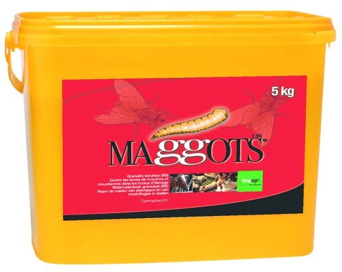 MAGGOTS 5 KG